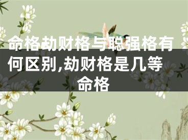 命格劫财格与聪强格有何区别,劫财格是几等命格