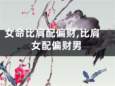 女命比肩配偏财,比肩女配偏财男