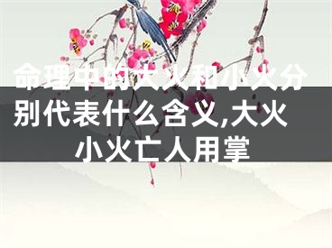 命理中的大火和小火分别代表什么含义,大火小火亡人用掌