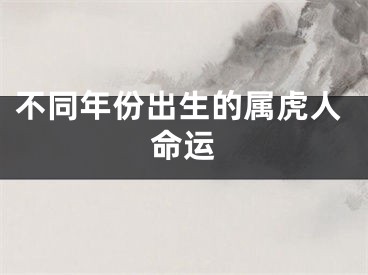 不同年份出生的属虎人命运