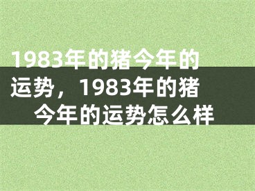 1983年的猪今年的运势，1983年的猪今年的运势怎么样