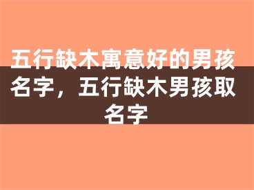五行缺木寓意好的男孩名字，五行缺木男孩取名字