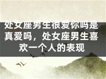 处女座男生很爱你吗是真爱吗，处女座男生喜欢一个人的表现