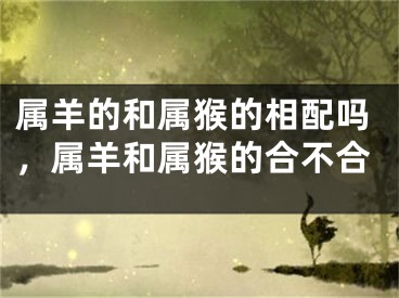 属羊的和属猴的相配吗，属羊和属猴的合不合