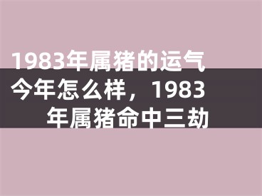 1983年属猪的运气今年怎么样，1983年属猪命中三劫