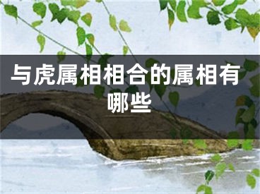 与虎属相相合的属相有哪些