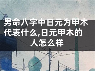 男命八字中日元为甲木代表什么,日元甲木的人怎么样