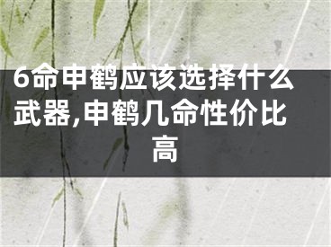 6命申鹤应该选择什么武器,申鹤几命性价比高