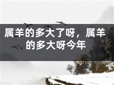 属羊的多大了呀，属羊的多大呀今年