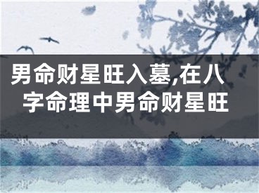 男命财星旺入墓,在八字命理中男命财星旺