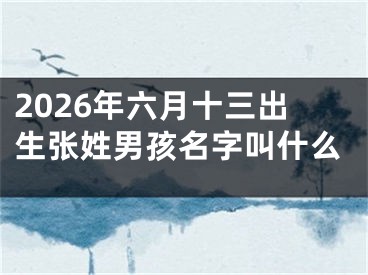 2026年六月十三出生张姓男孩名字叫什么