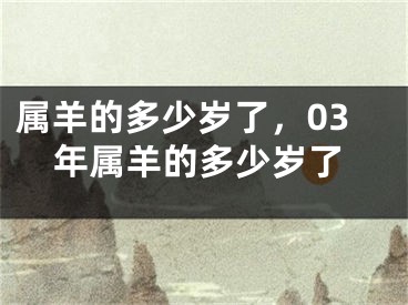 属羊的多少岁了，03年属羊的多少岁了