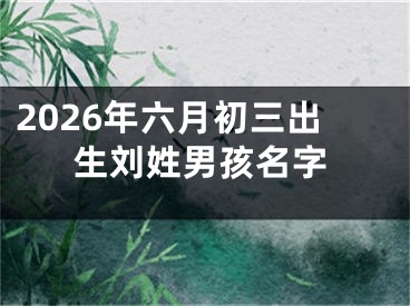 2026年六月初三出生刘姓男孩名字