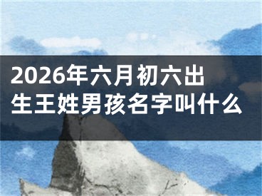 2026年六月初六出生王姓男孩名字叫什么