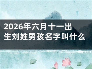 2026年六月十一出生刘姓男孩名字叫什么