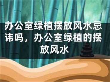 办公室绿植摆放风水忌讳吗，办公室绿植的摆放风水