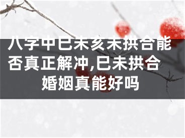 八字中巳未亥未拱合能否真正解冲,巳未拱合婚姻真能好吗