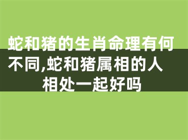 蛇和猪的生肖命理有何不同,蛇和猪属相的人相处一起好吗