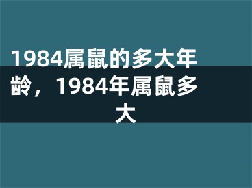 1984属鼠的多大年龄,1984年属鼠多大