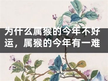 为什么属猴的今年不好运，属猴的今年有一难