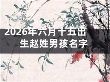 2026年六月十五出生赵姓男孩名字