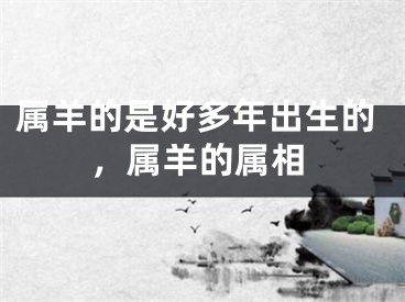 属羊的是好多年出生的，属羊的属相