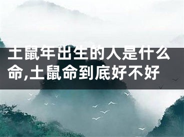 土鼠年出生的人是什么命,土鼠命到底好不好