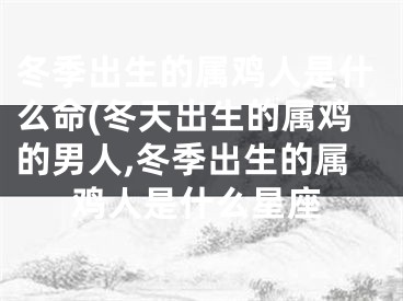冬季出生的属鸡人是什么命(冬天出生的属鸡的男人,冬季出生的属鸡人是什么星座