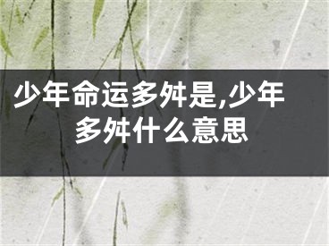 少年命运多舛是,少年多舛什么意思