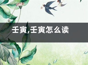壬寅,壬寅怎么读
