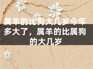 属羊的比狗大几岁今年多大了，属羊的比属狗的大几岁