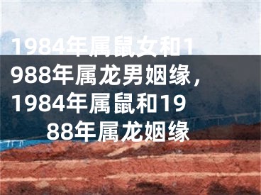 1984年属鼠女和1988年属龙男姻缘,1984年属鼠和1988年属龙姻缘