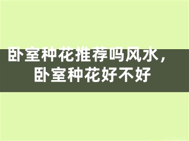 卧室种花推荐吗风水，卧室种花好不好