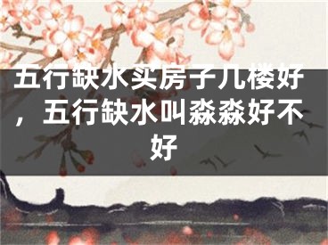 五行缺水买房子几楼好,五行缺水叫淼淼好不好