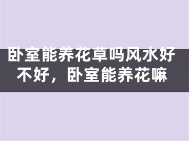 卧室能养花草吗风水好不好，卧室能养花嘛