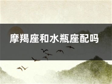 摩羯座和水瓶座配吗