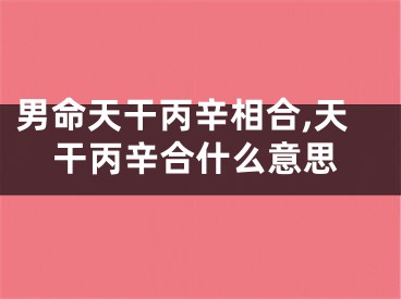 男命天干丙辛相合,天干丙辛合什么意思