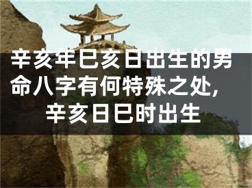 辛亥年巳亥日出生的男命八字有何特殊之处,辛亥日巳时出生