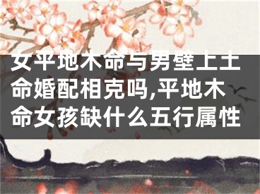 女平地木命与男壁上土命婚配相克吗,平地木命女孩缺什么五行属性