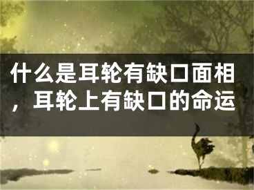 什么是耳轮有缺口面相，耳轮上有缺口的命运