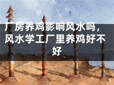 厂房养鸡影响风水吗,风水学工厂里养鸡好不好