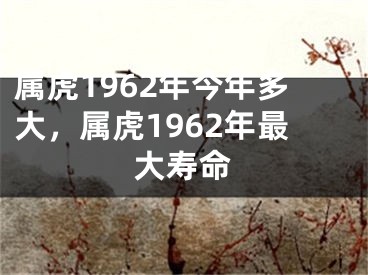 属虎1962年今年多大，属虎1962年最大寿命