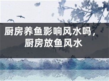 厨房养鱼影响风水吗，厨房放鱼风水