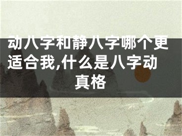动八字和静八字哪个更适合我,什么是八字动真格