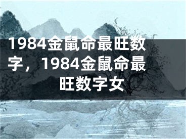 1984金鼠命最旺数字,1984金鼠命最旺数字女