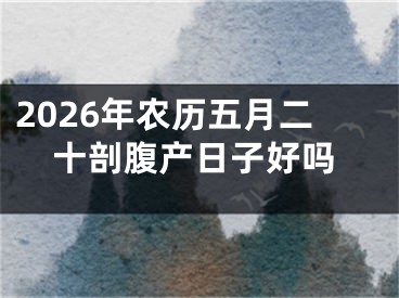 2026年农历五月二十剖腹产日子好吗