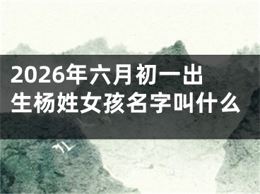 2026年六月初一出生杨姓女孩名字叫什么