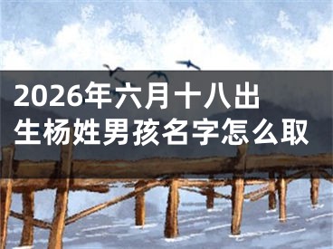 2026年六月十八出生杨姓男孩名字怎么取