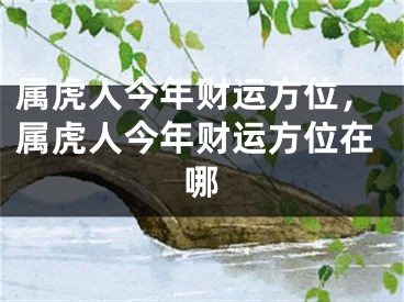 属虎人今年财运方位，属虎人今年财运方位在哪