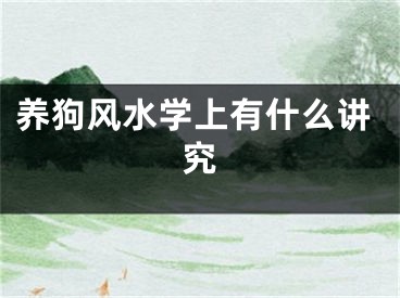 养狗风水学上有什么讲究